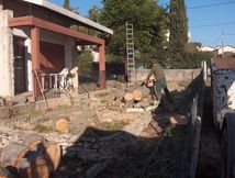 abattage d'arbre 3