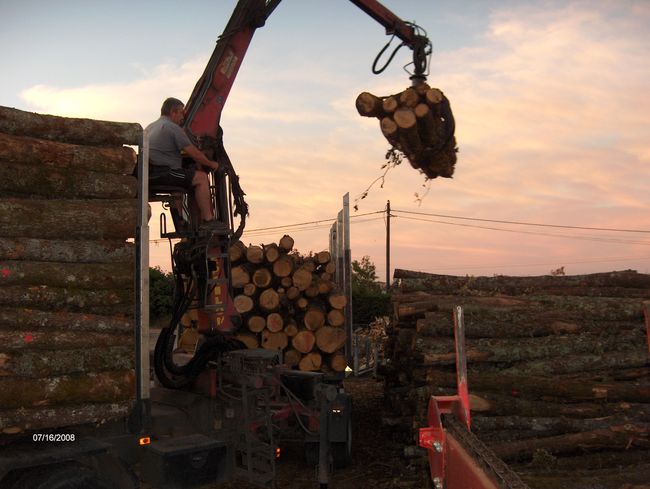 José Pires, vente de bois de chauffage, élagage, abattage d'arbres,  entretien espaces verts à Mauguio